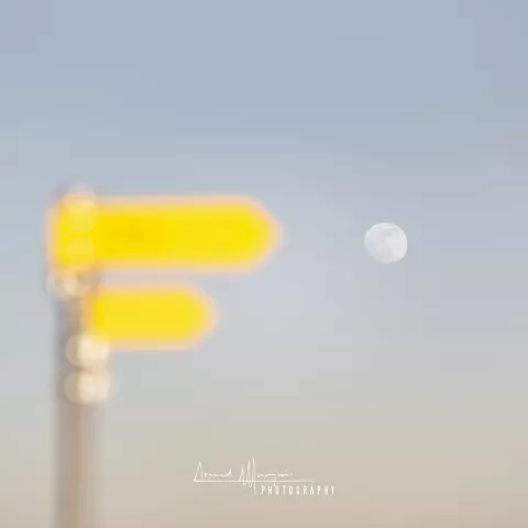 Moon